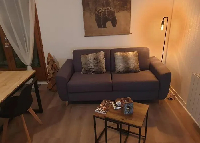 דירה Au Pied Des Telecabines Res La Soulan Bagnères-de-Luchon